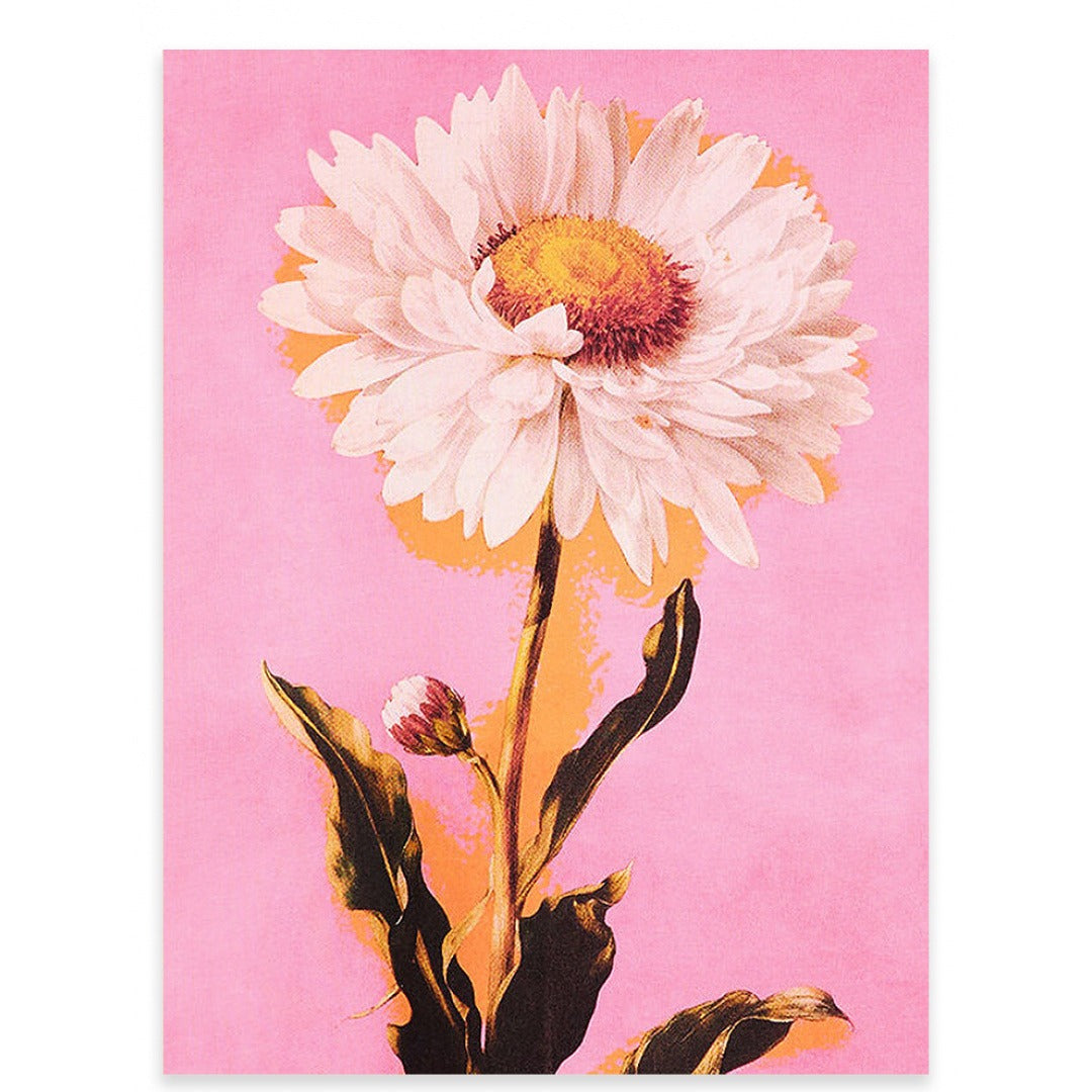 Daisy Print T-Shirt