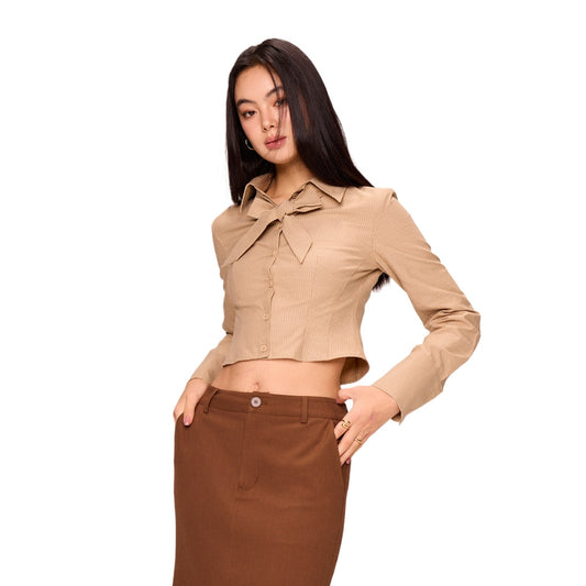 Slim Fit Striped Cropped Long Sleeve Top