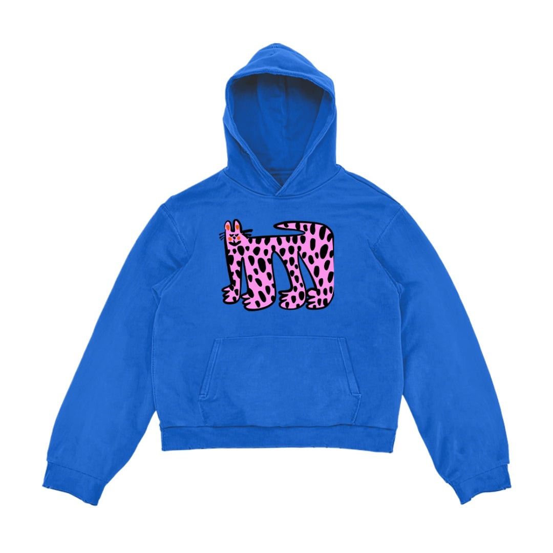 Youthful Color Block Hoodie