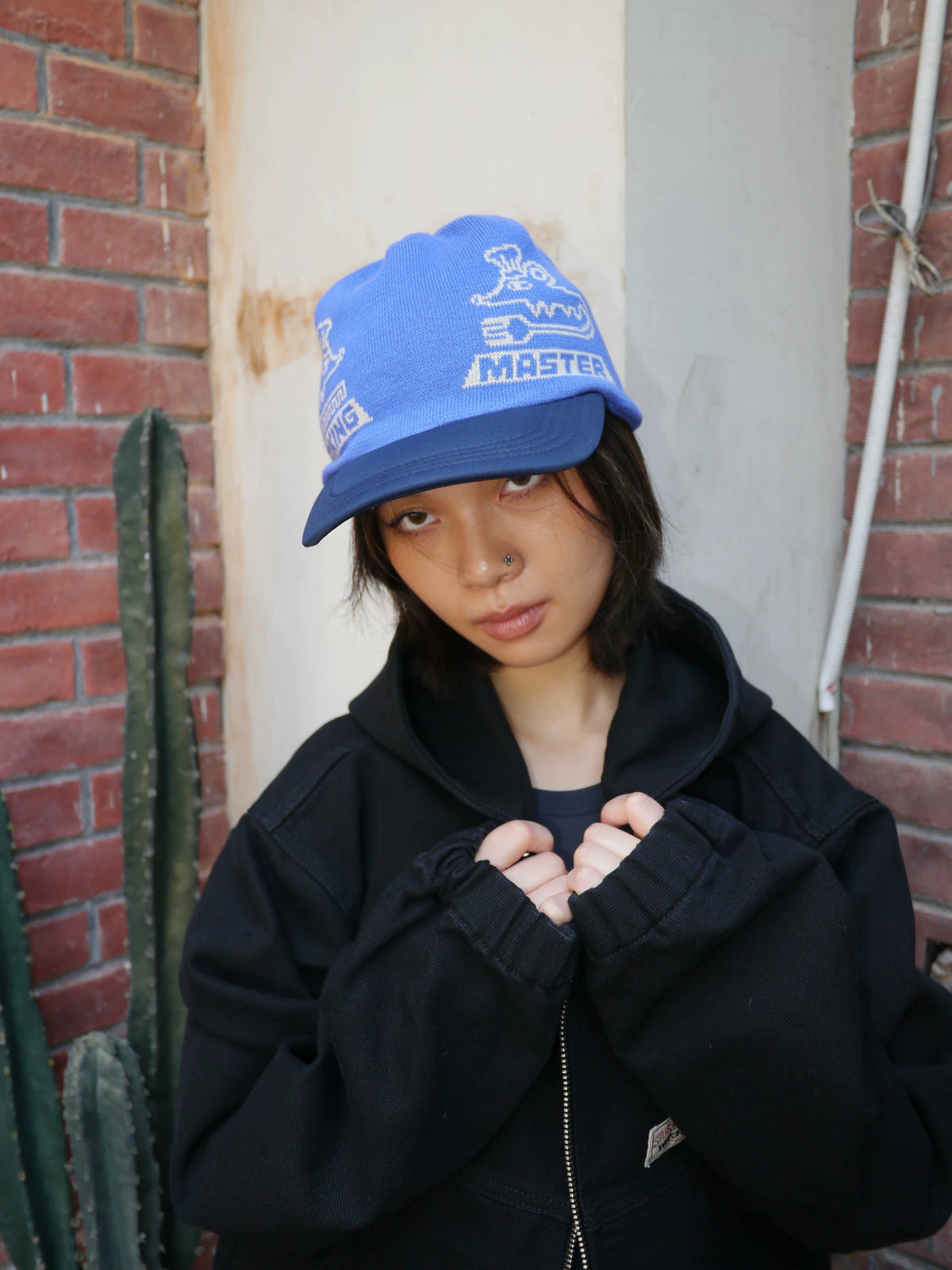 Graphic Embroidered Knit Beanie in Brown and Blue color
