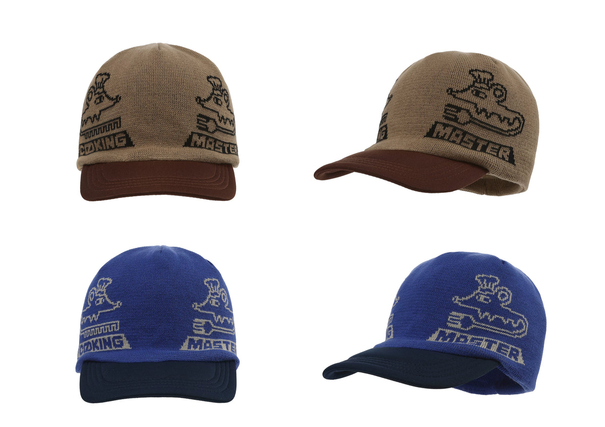 Graphic Embroidered Knit Beanie in Brown and Blue color