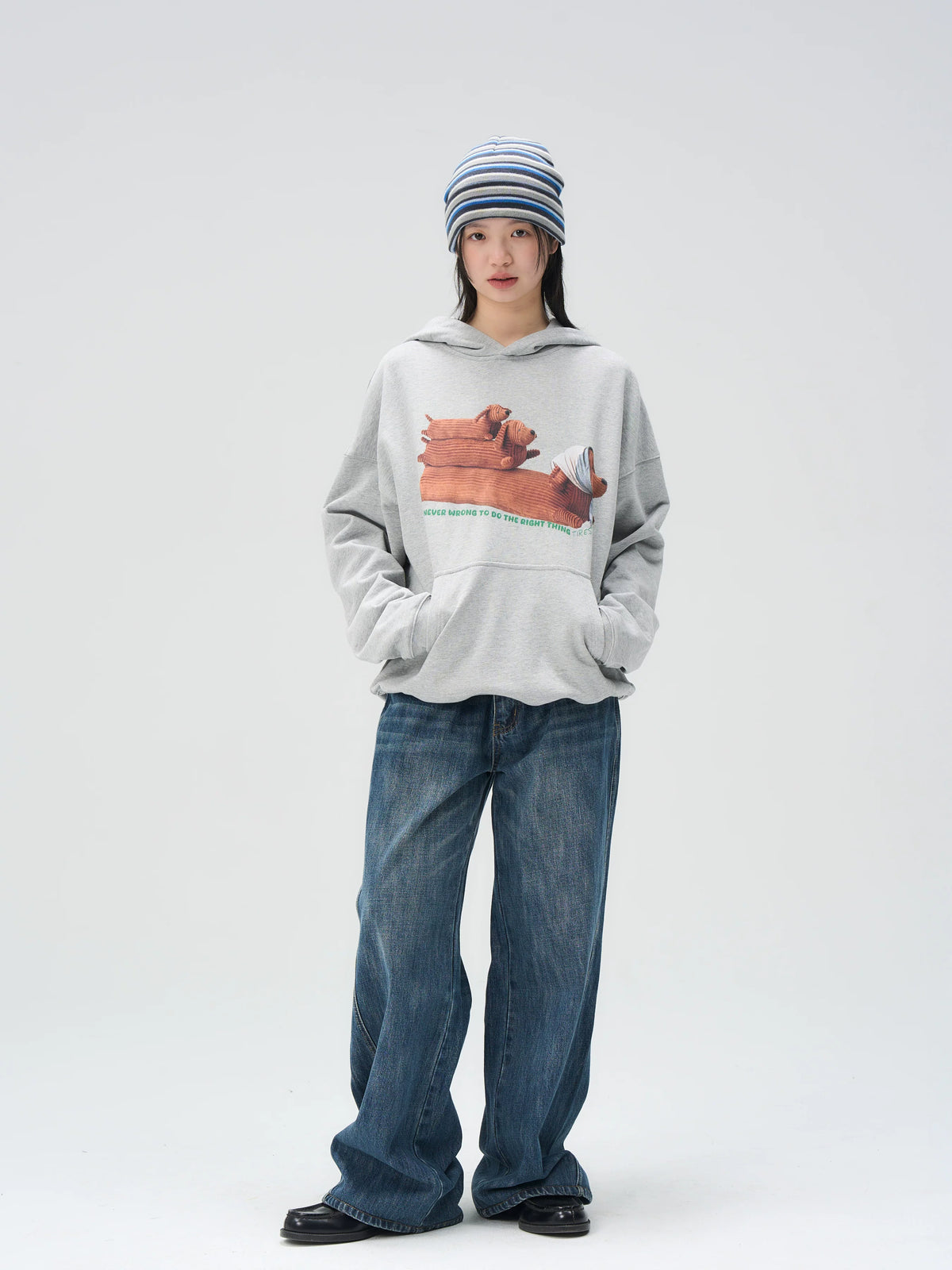 Illustrated Dachshund Hoodie