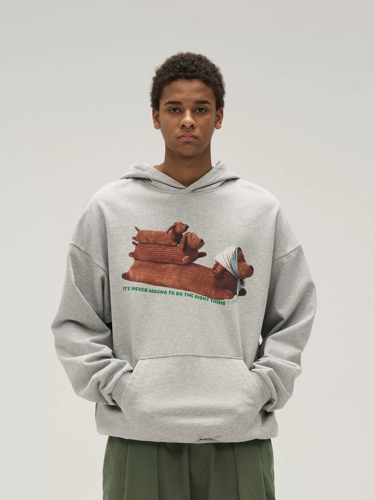 Illustrated Dachshund Hoodie