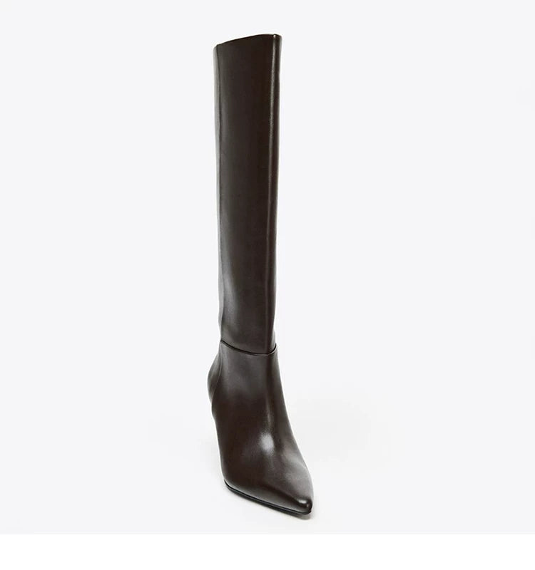 Brown pointed-toe knee-high boot, front view