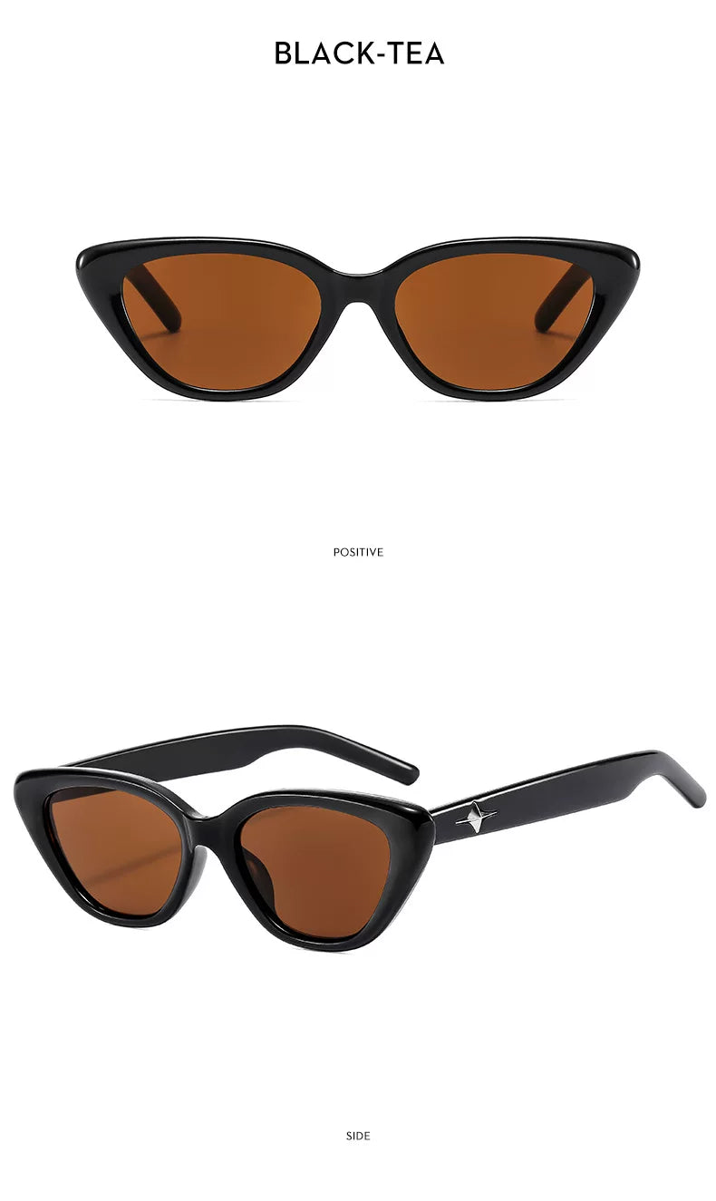 Cat-Eye-Sonnenbrille mit transparentem Rahmen — Farben: schwarz, braun ; Rahmen- und Glasdetails