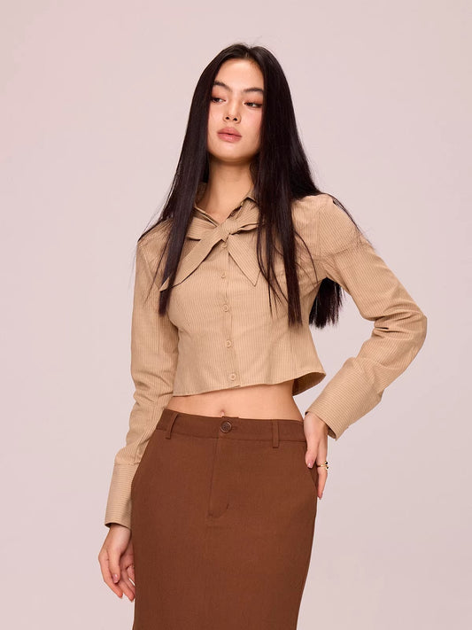 Slim Fit Striped Cropped Long Sleeve Top